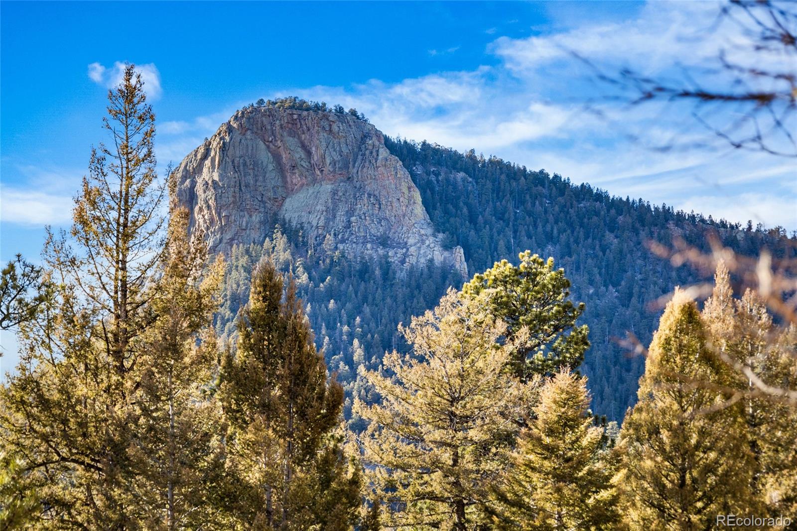 35441 Upper Aspen Lane Pine CO 80470