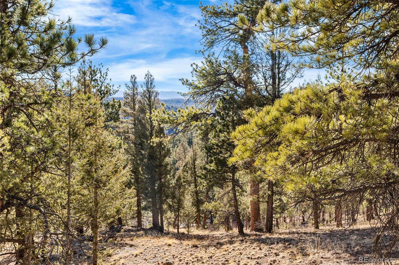 35441 Upper Aspen Lane Pine CO 80470