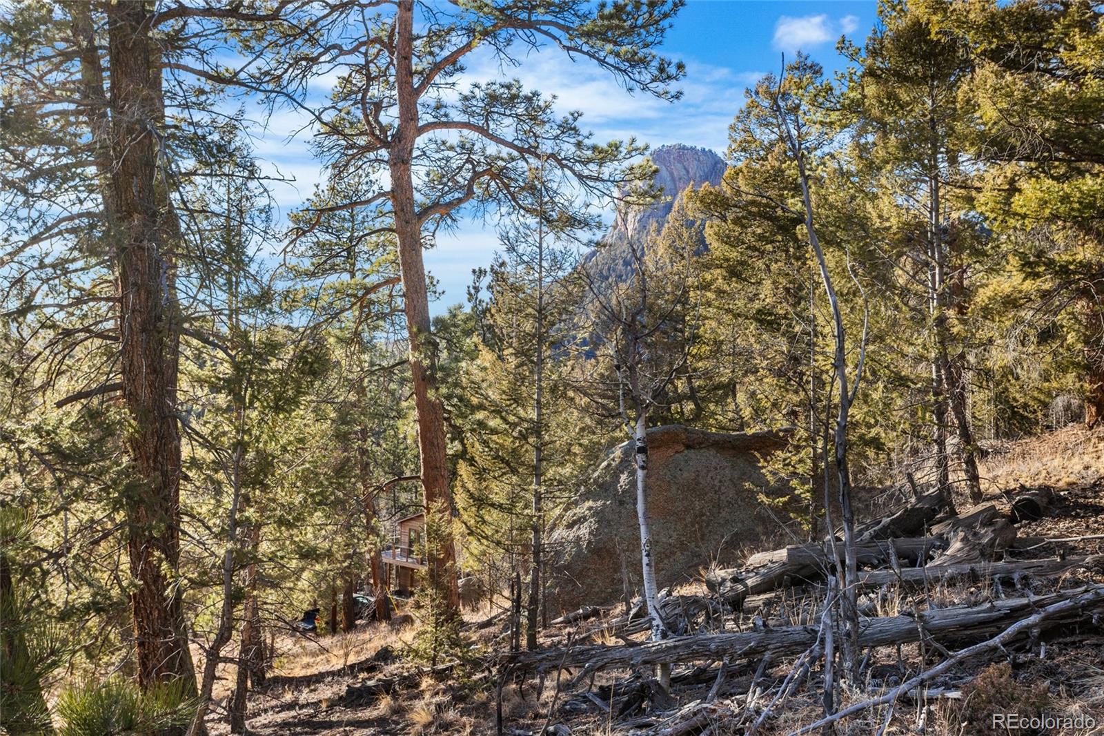35441 Upper Aspen Lane Pine CO 80470