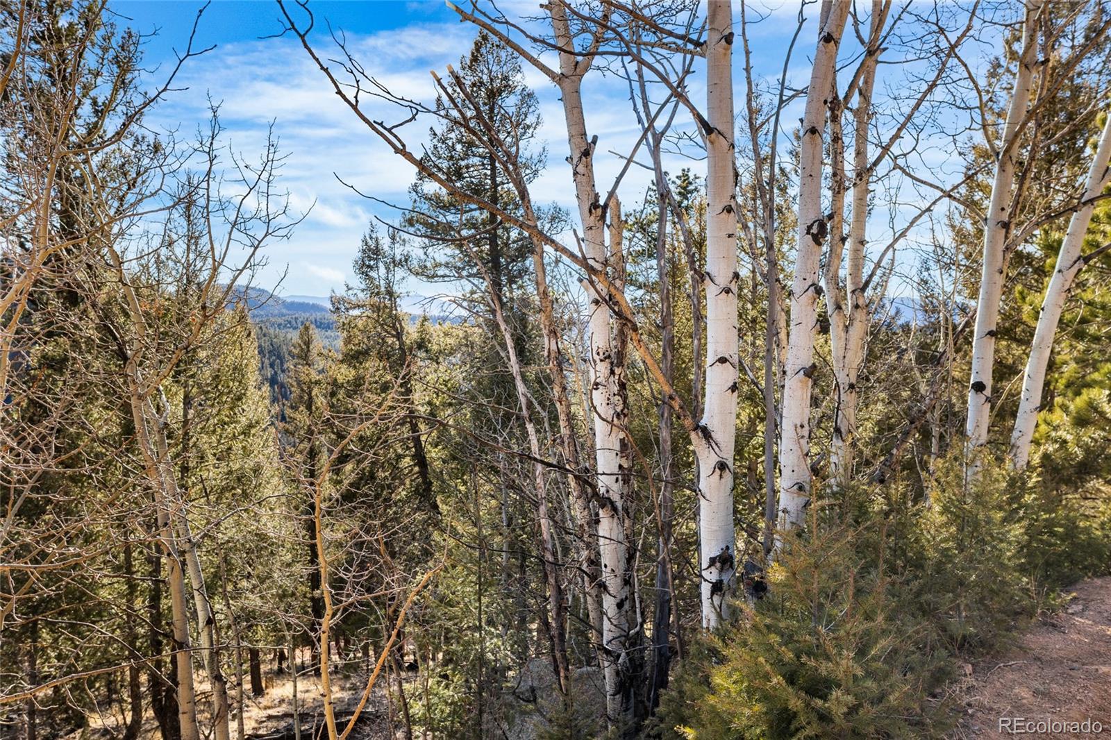 35441 Upper Aspen Lane Pine CO 80470