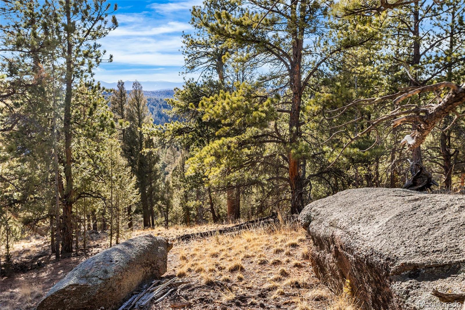 35441 Upper Aspen Lane Pine CO 80470