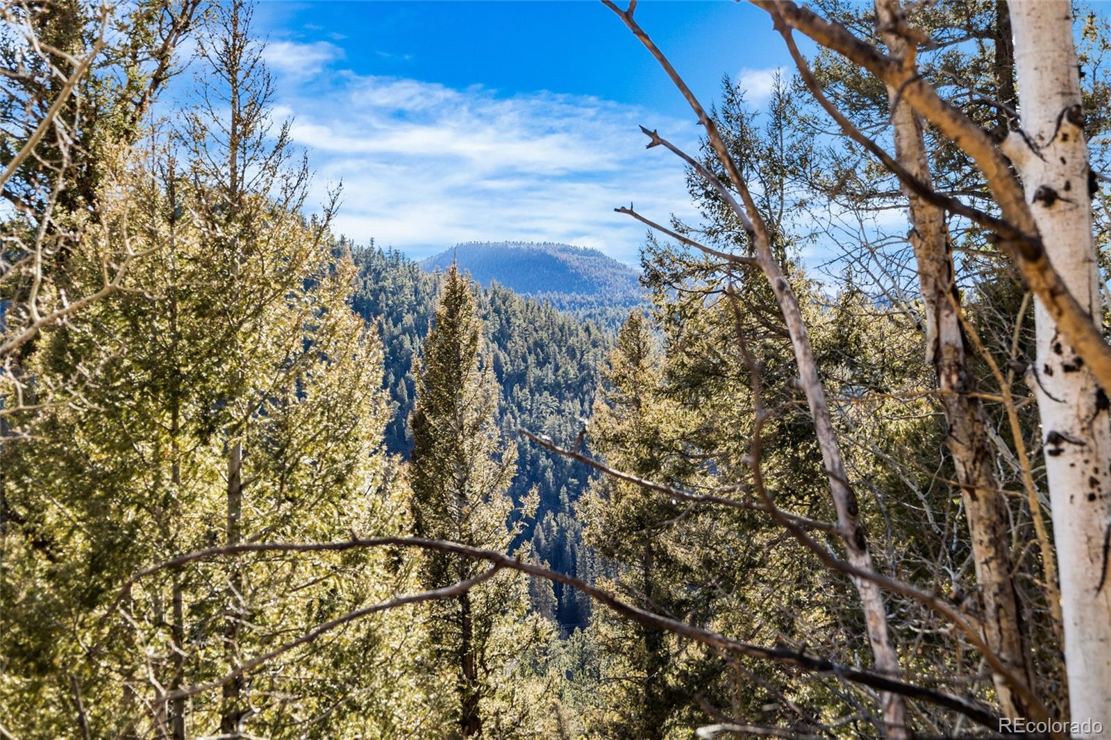 35441 Upper Aspen Lane Pine CO 80470