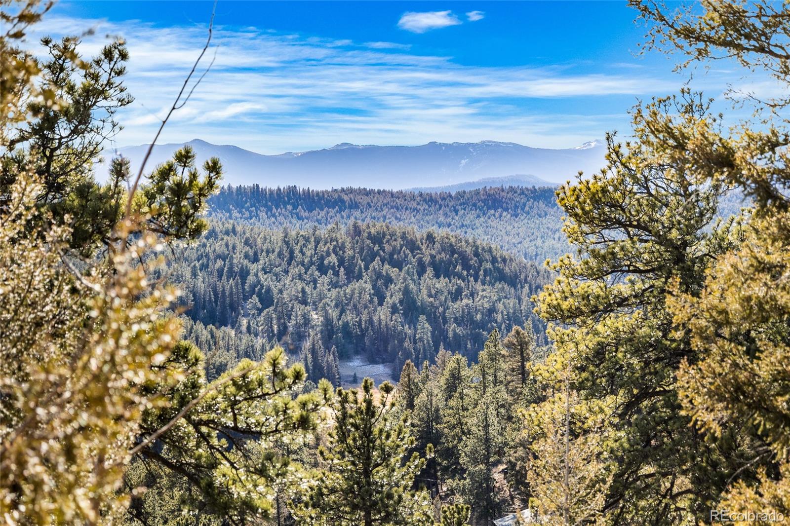 35441 Upper Aspen Lane Pine CO 80470