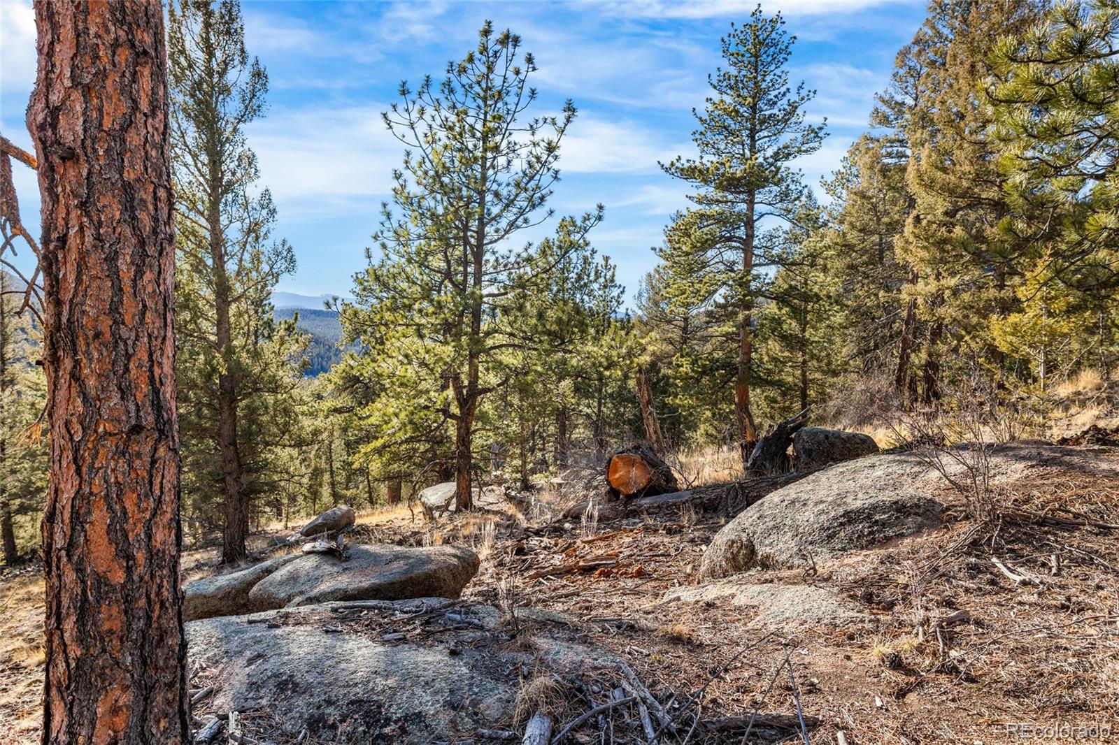 35441 Upper Aspen Lane Pine CO 80470