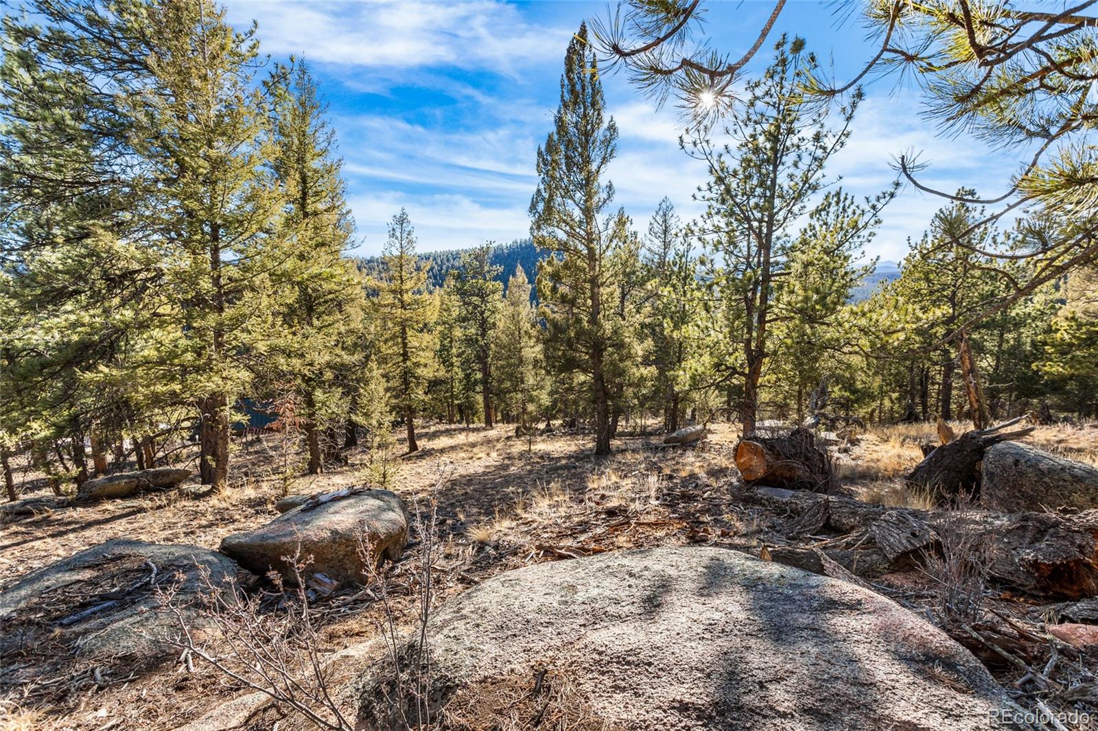 35441 Upper Aspen Lane Pine CO 80470
