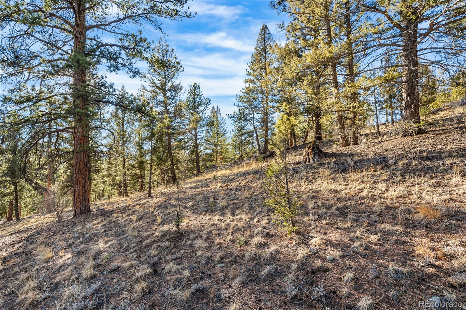 35441 Upper Aspen Lane Pine CO 80470