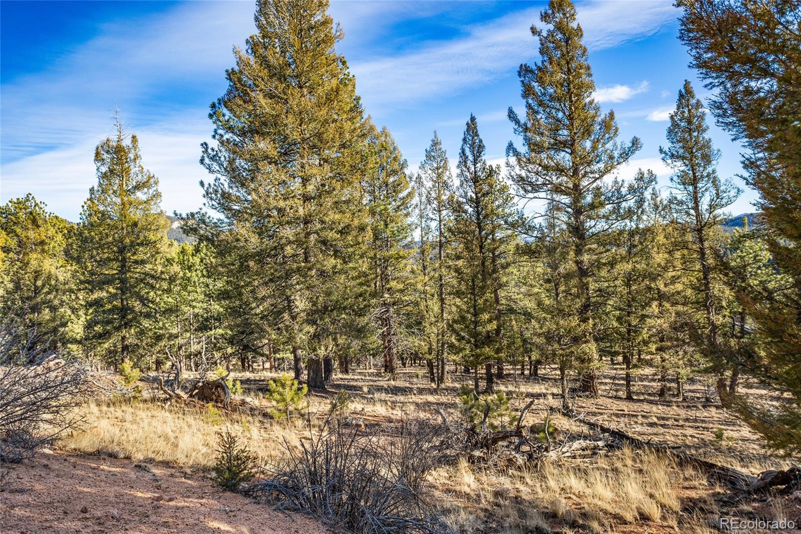 35441 Upper Aspen Lane Pine CO 80470