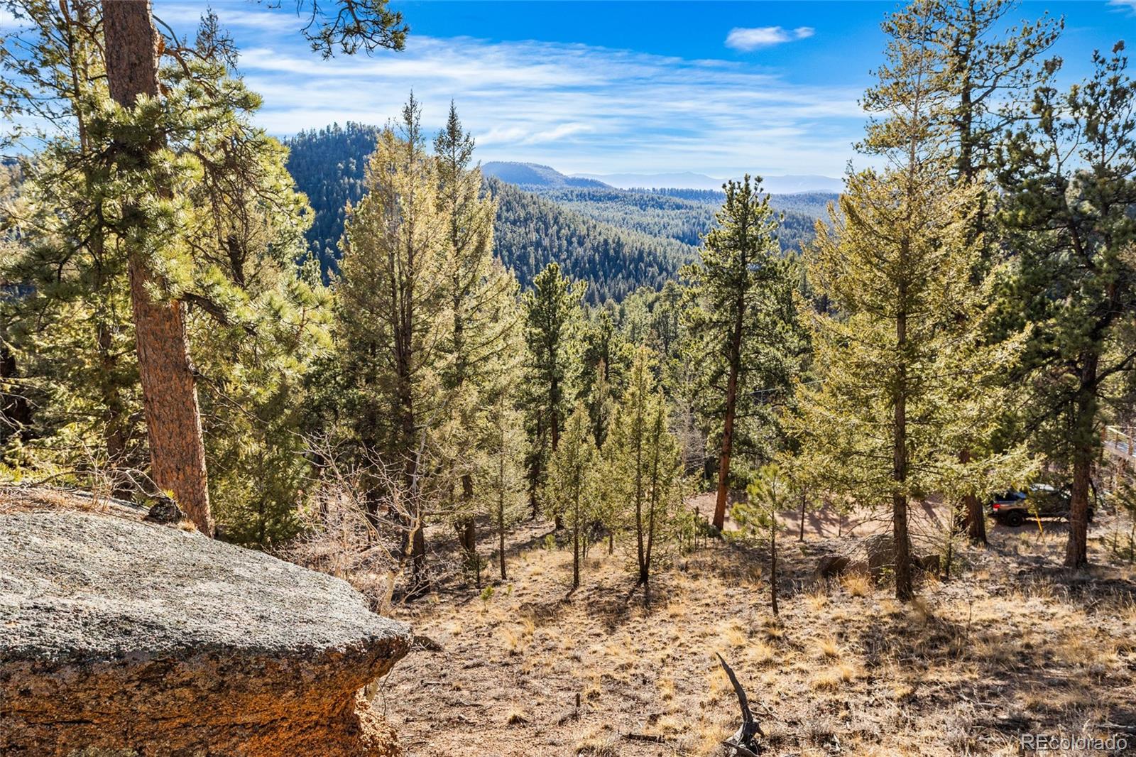 35441 Upper Aspen Lane Pine CO 80470