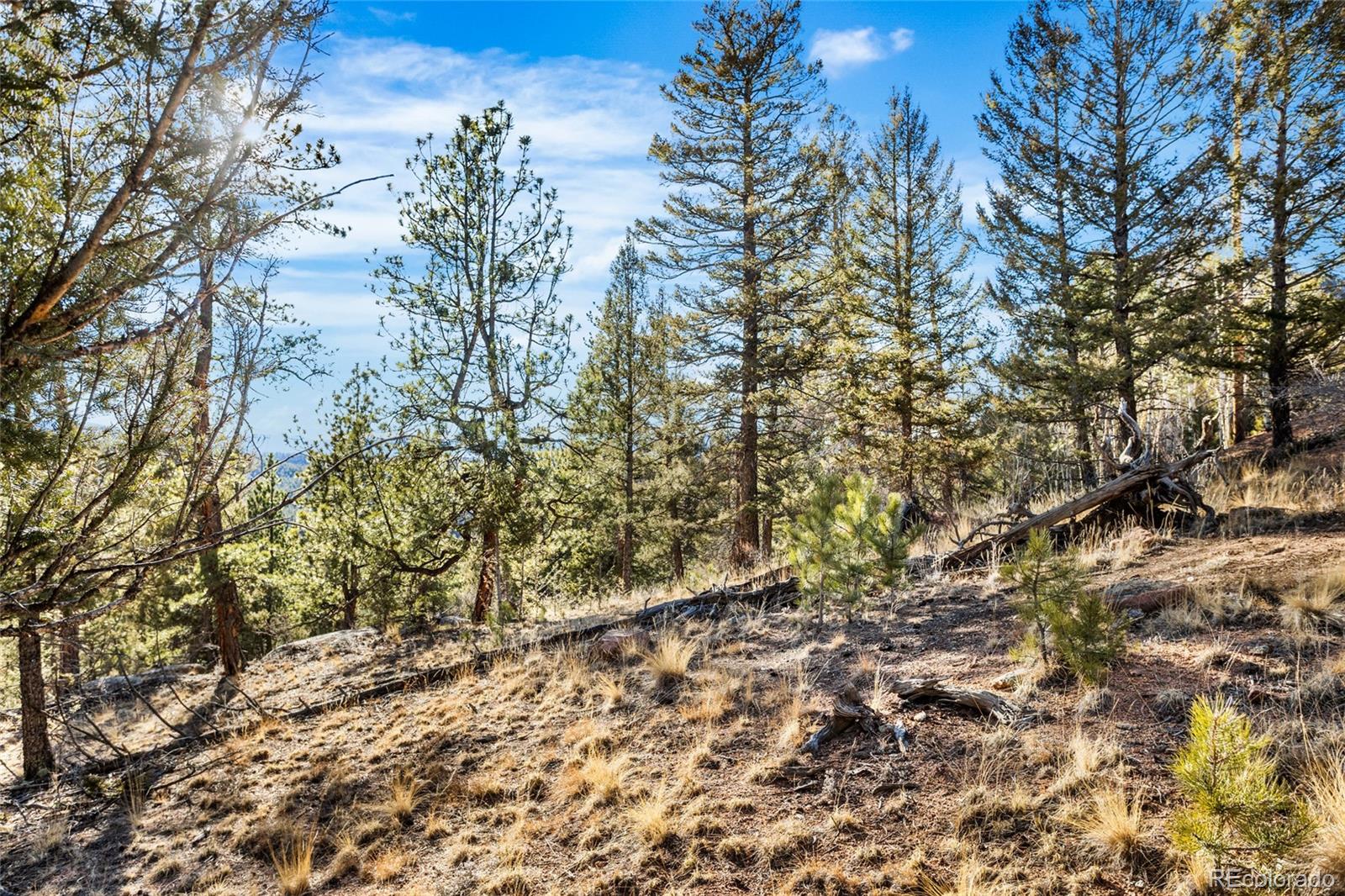 35441 Upper Aspen Lane Pine CO 80470