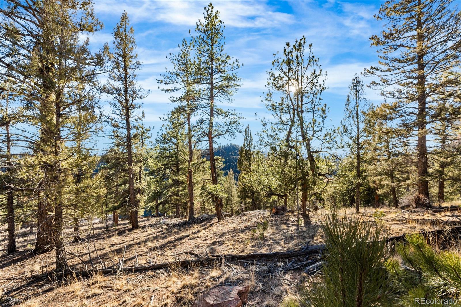 35441 Upper Aspen Lane Pine CO 80470