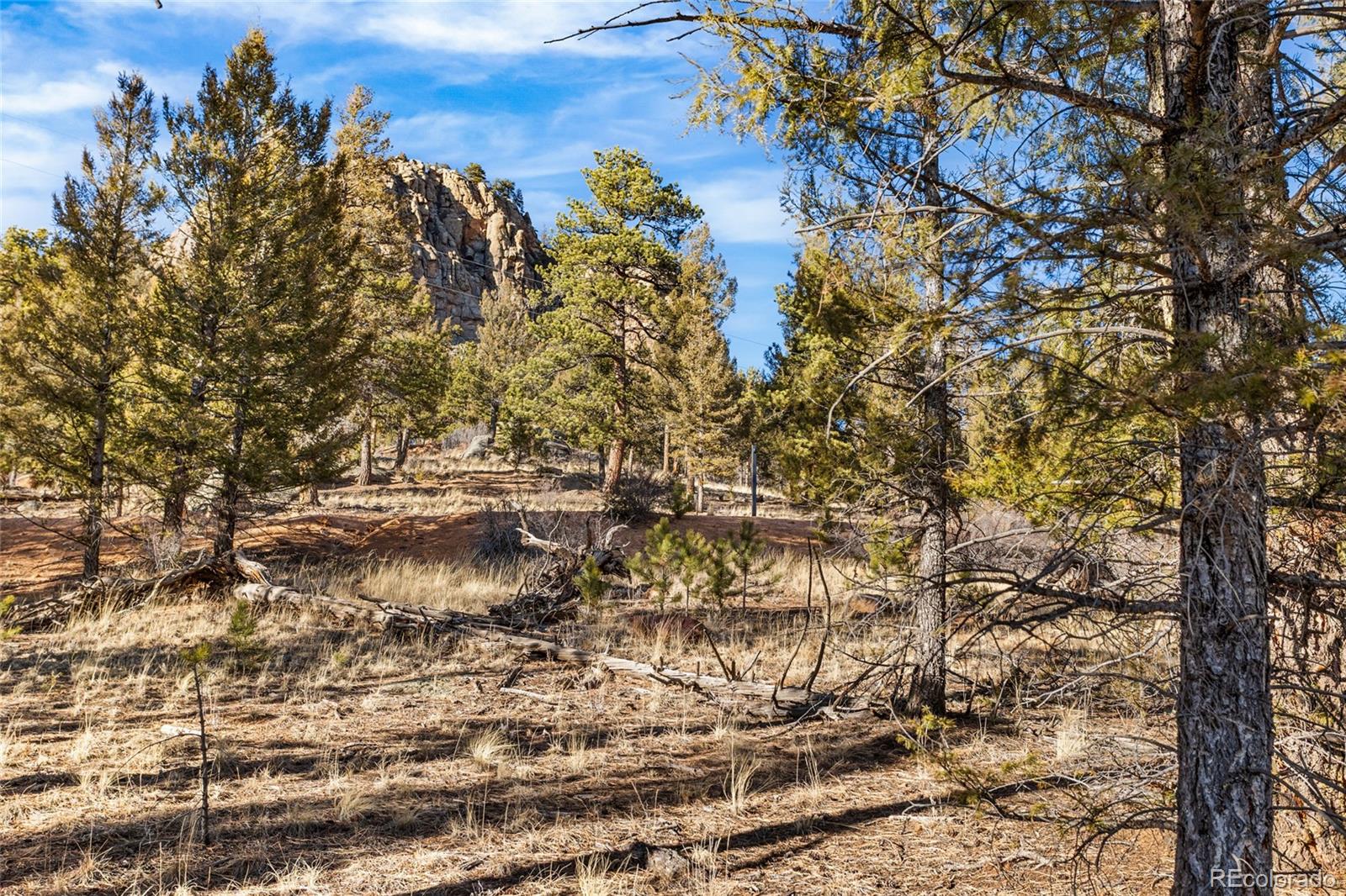 35441 Upper Aspen Lane Pine CO 80470