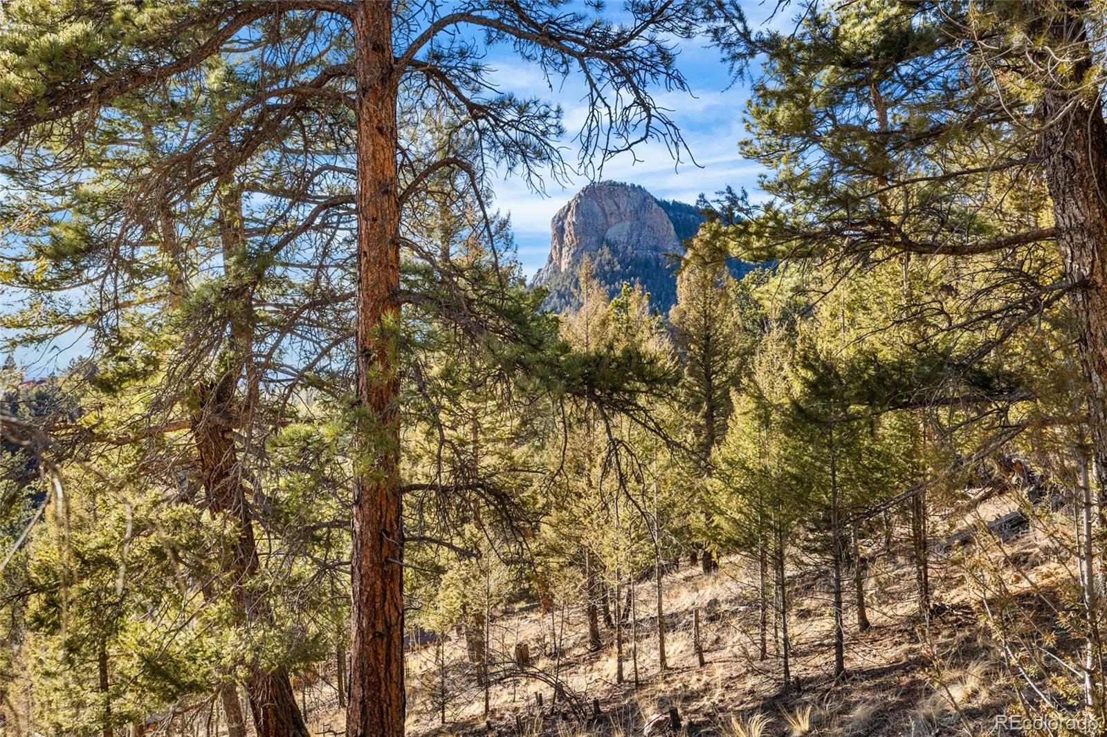 35441 Upper Aspen Lane Pine CO 80470