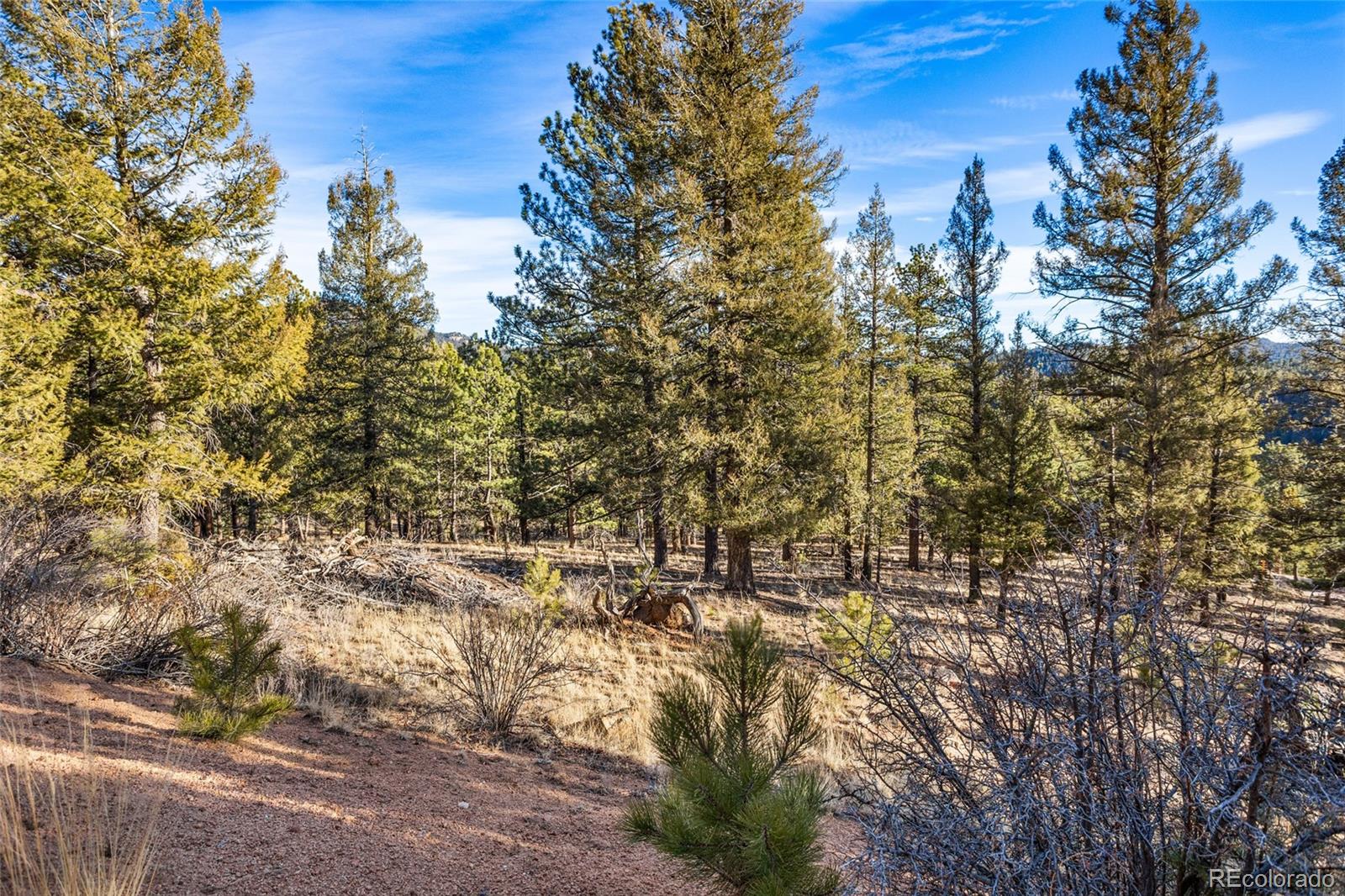 35441 Upper Aspen Lane Pine CO 80470