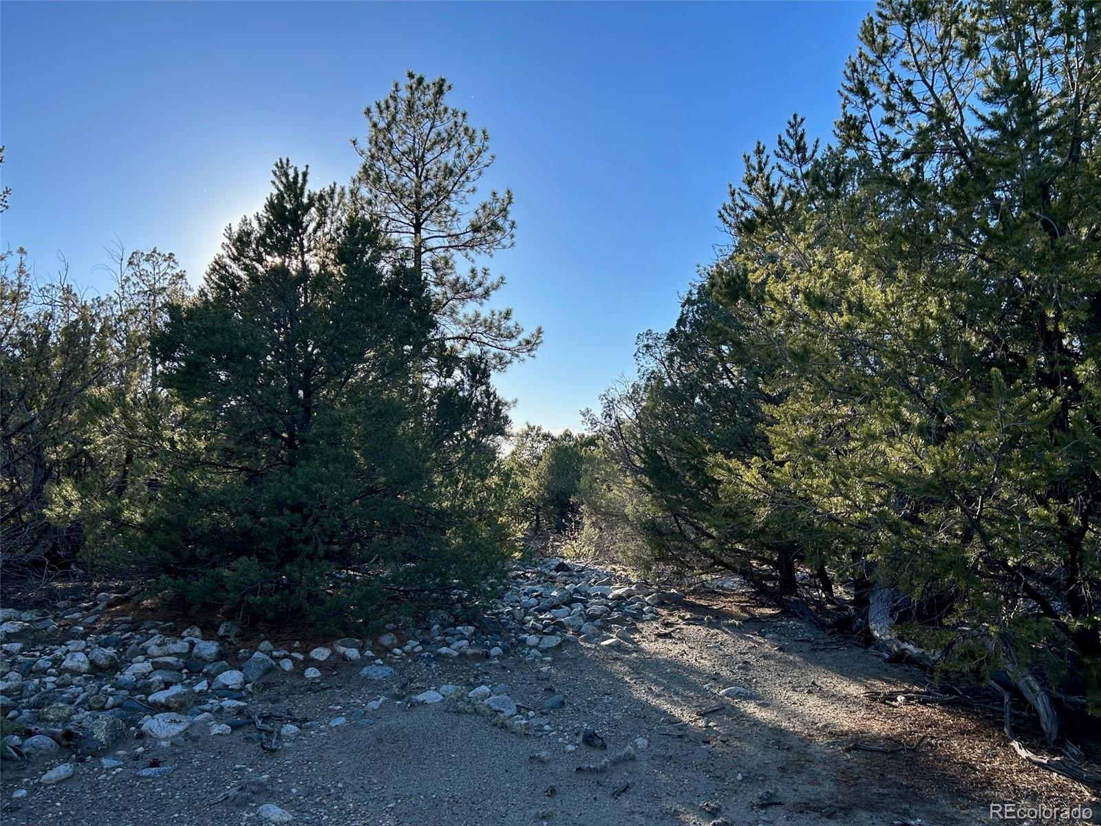 Conejos Place Mosca CO 81146