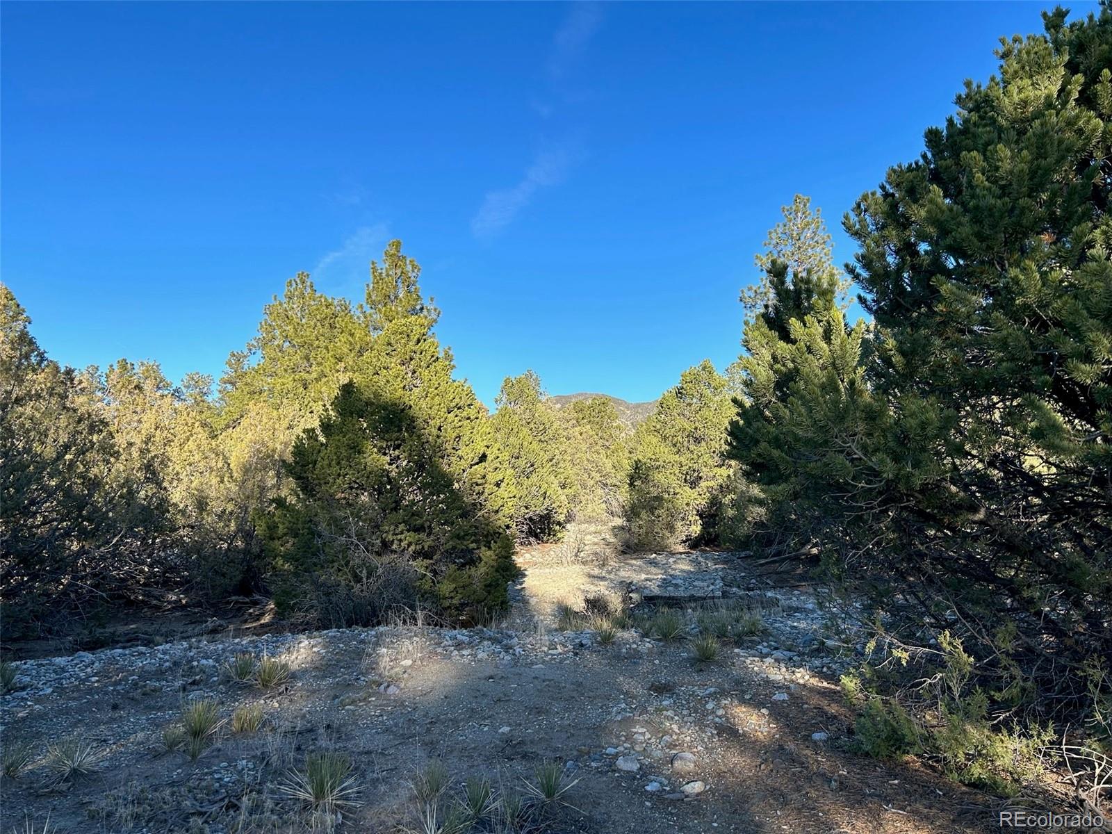 Conejos Place Mosca CO 81146