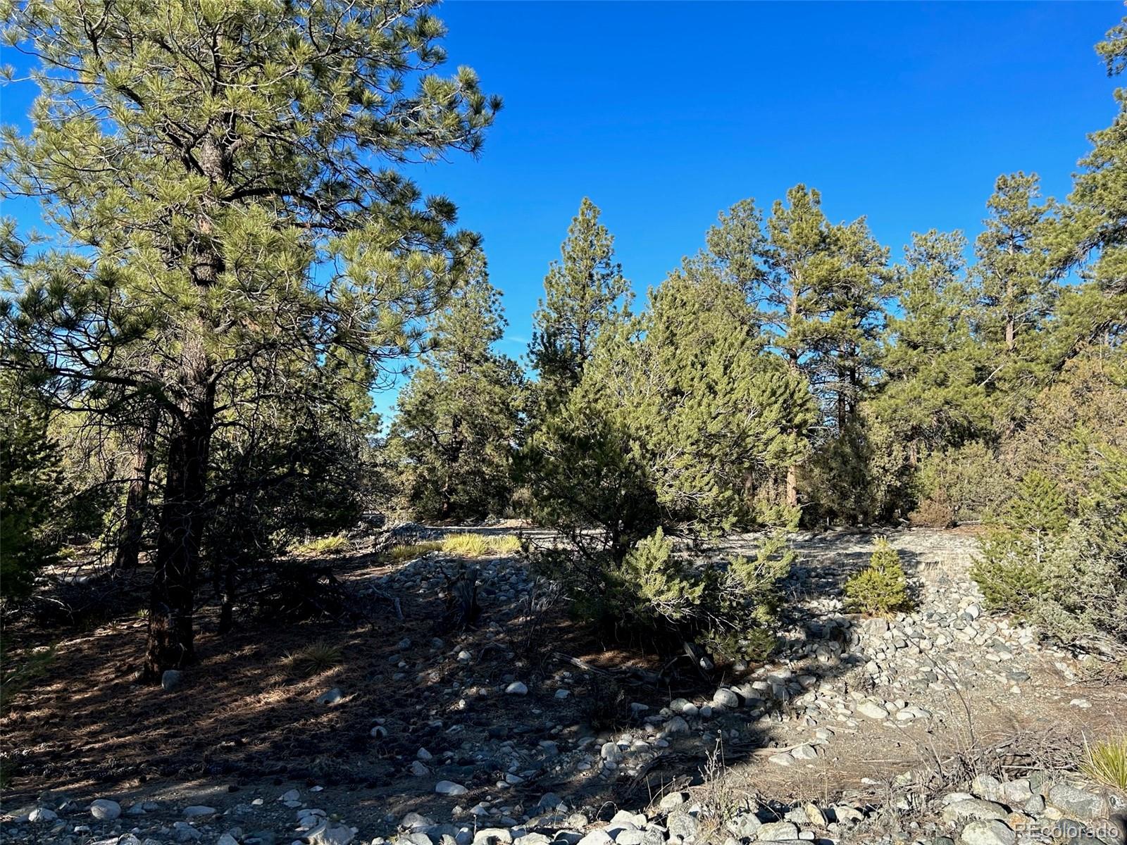 Conejos Place Mosca CO 81146