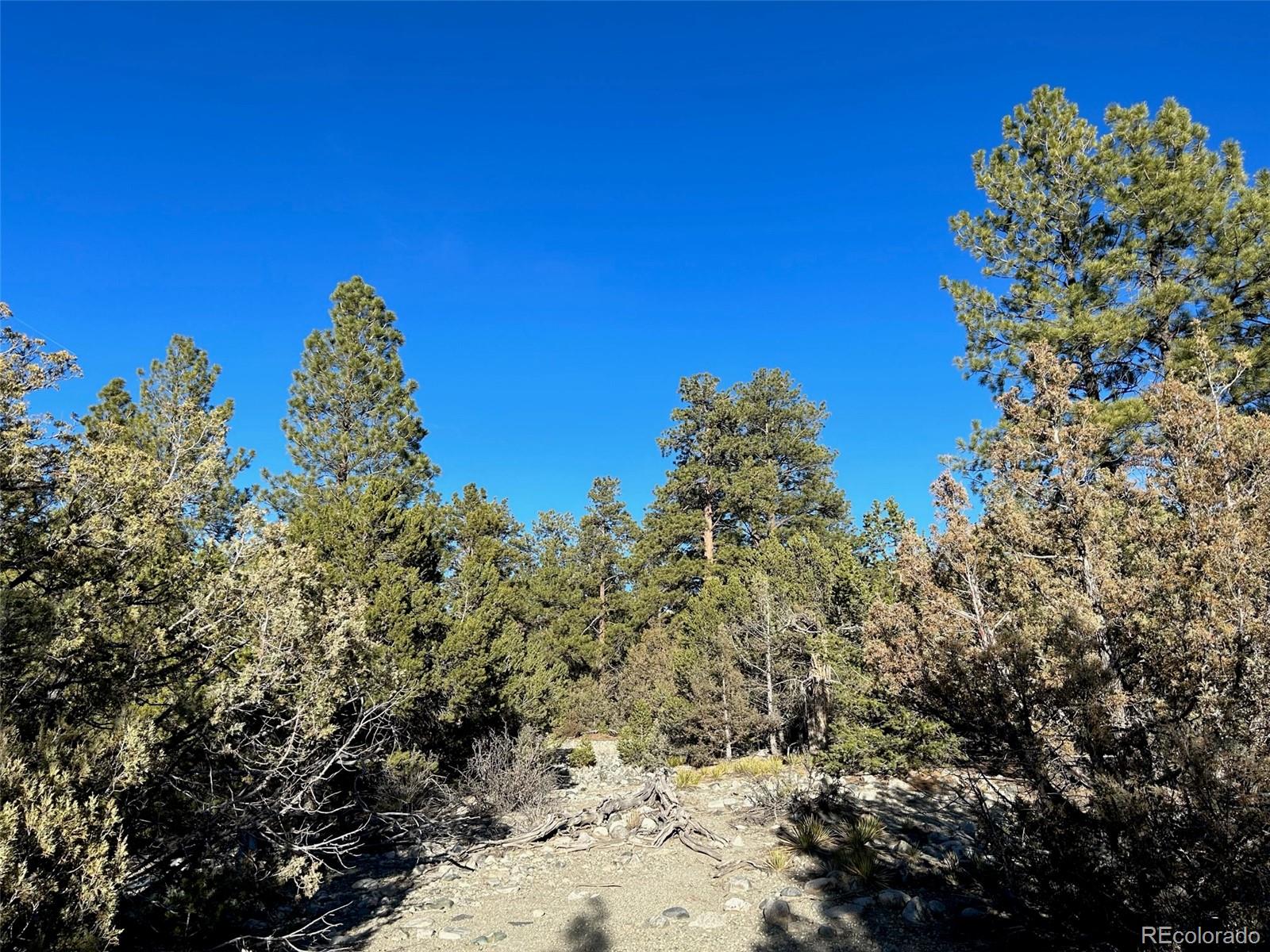 Conejos Place Mosca CO 81146