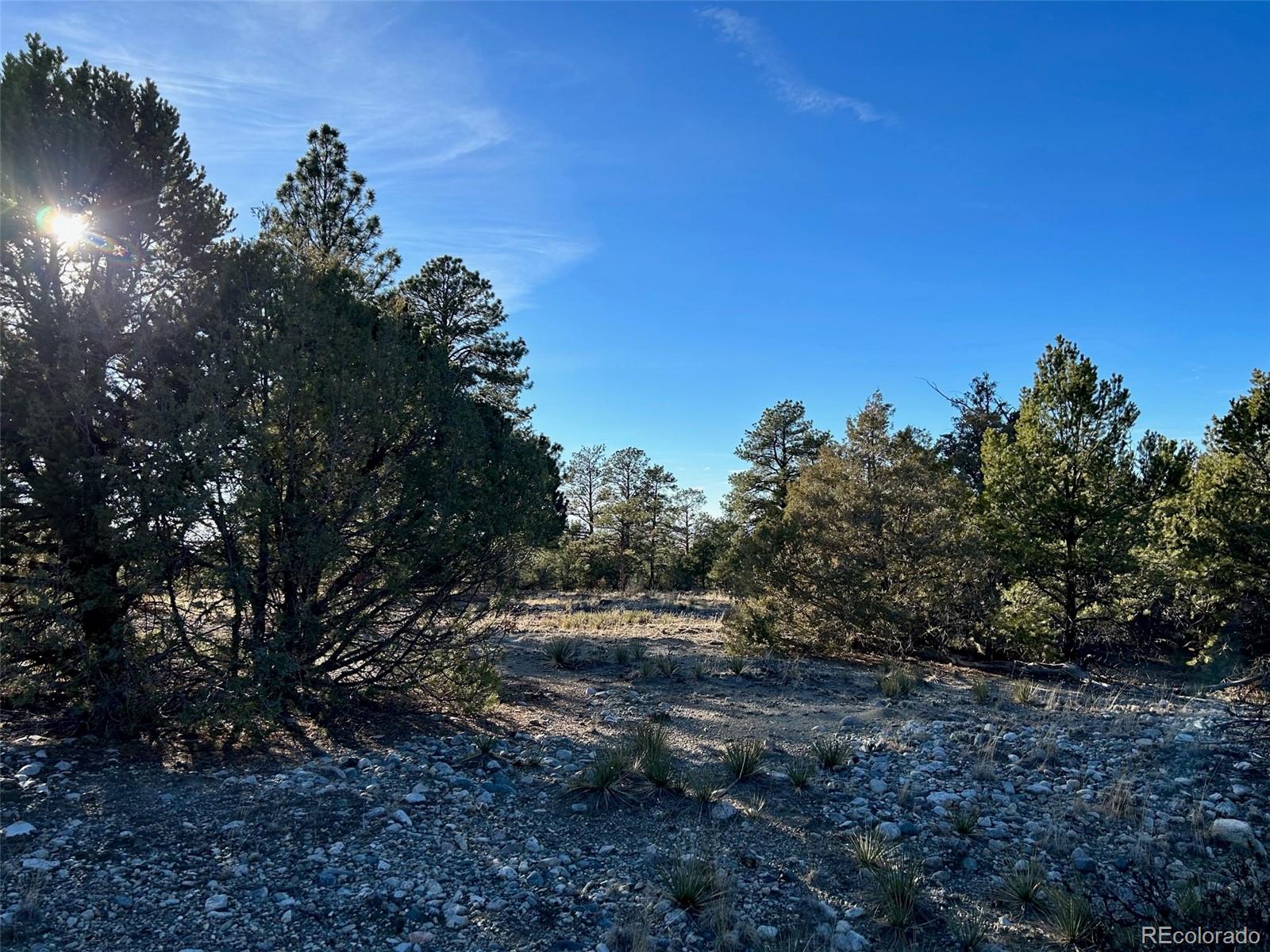 Conejos Place Mosca CO 81146