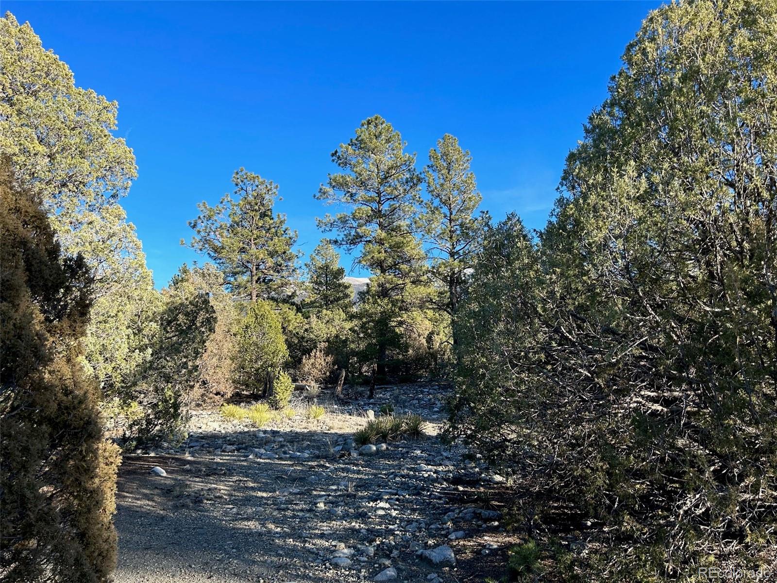 Conejos Place Mosca CO 81146