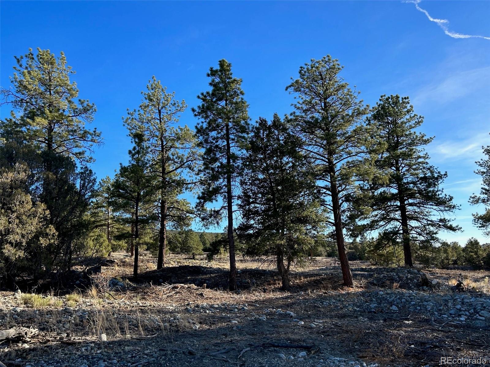 Conejos Place Mosca CO 81146