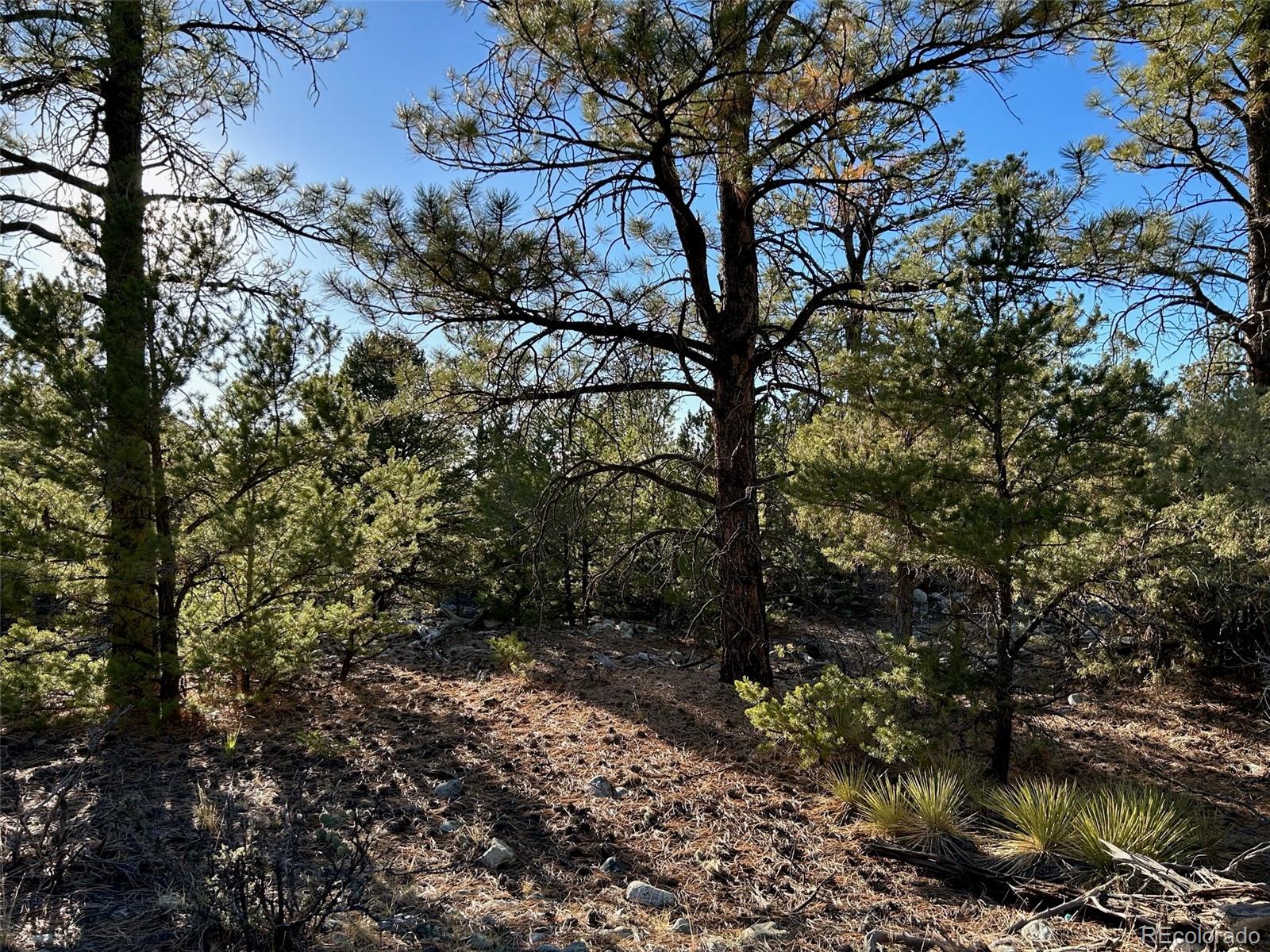 Conejos Place Mosca CO 81146
