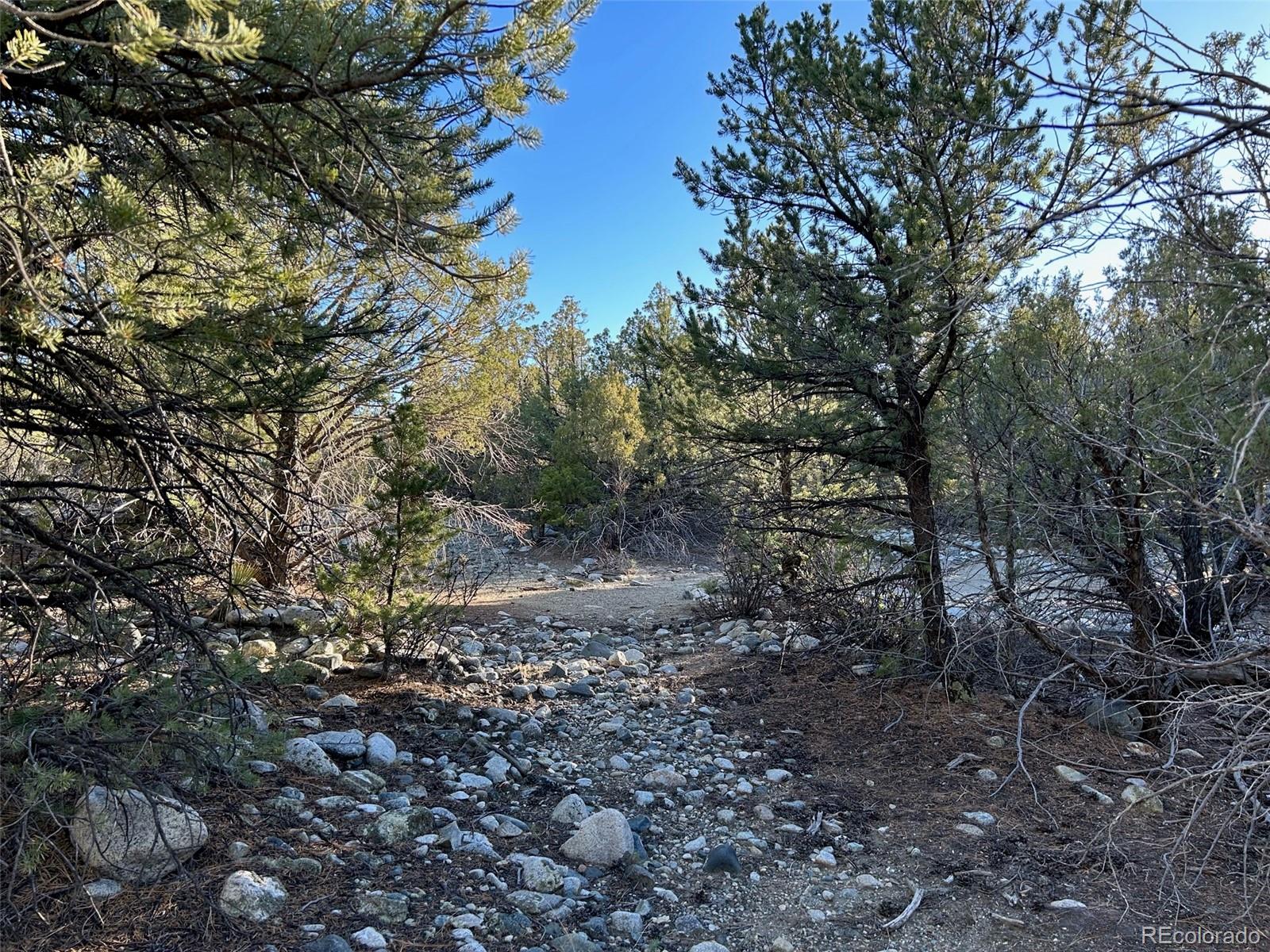 Conejos Place Mosca CO 81146