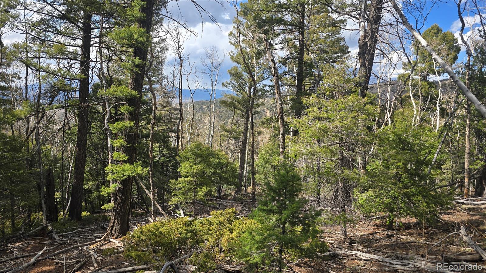Lot 5261 Scott Road Fort Garland CO 81133