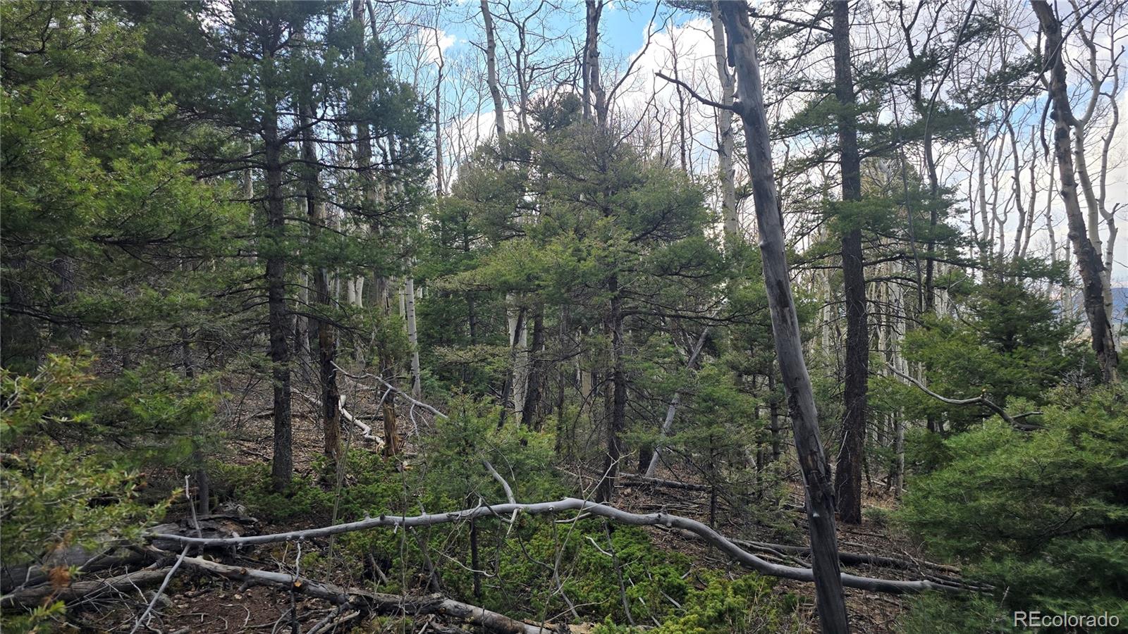Lot 5261 Scott Road Fort Garland CO 81133