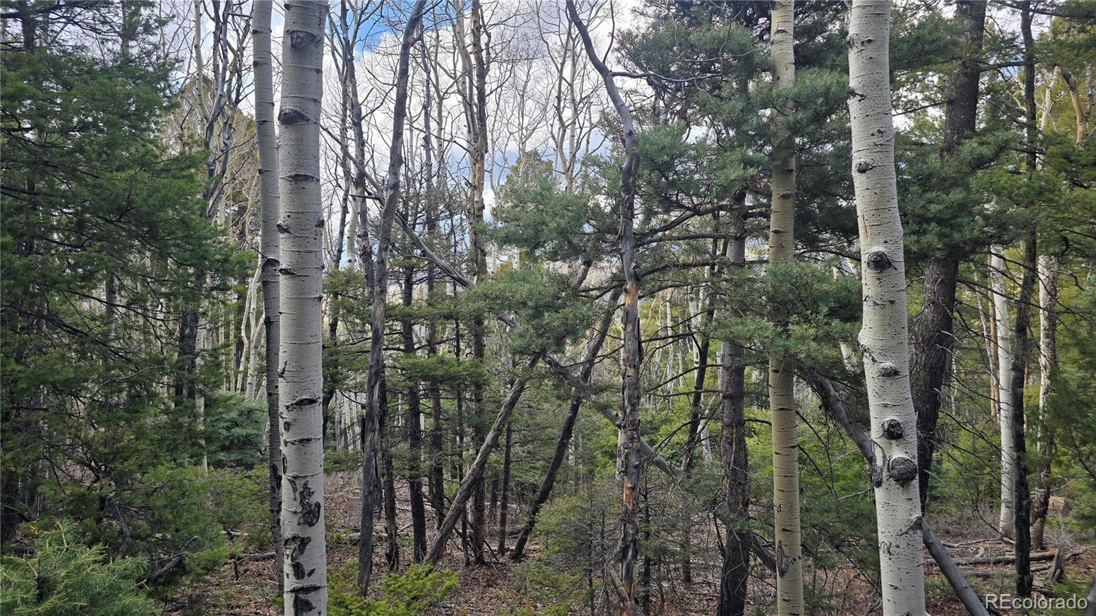 Lot 5261 Scott Road Fort Garland CO 81133