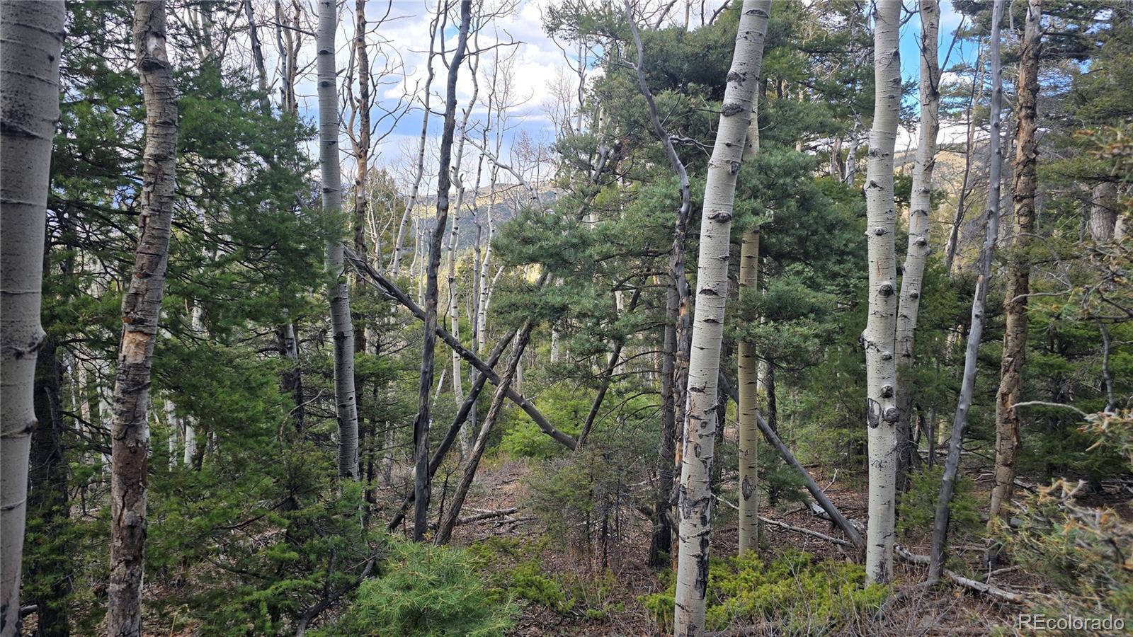 Lot 5261 Scott Road Fort Garland CO 81133
