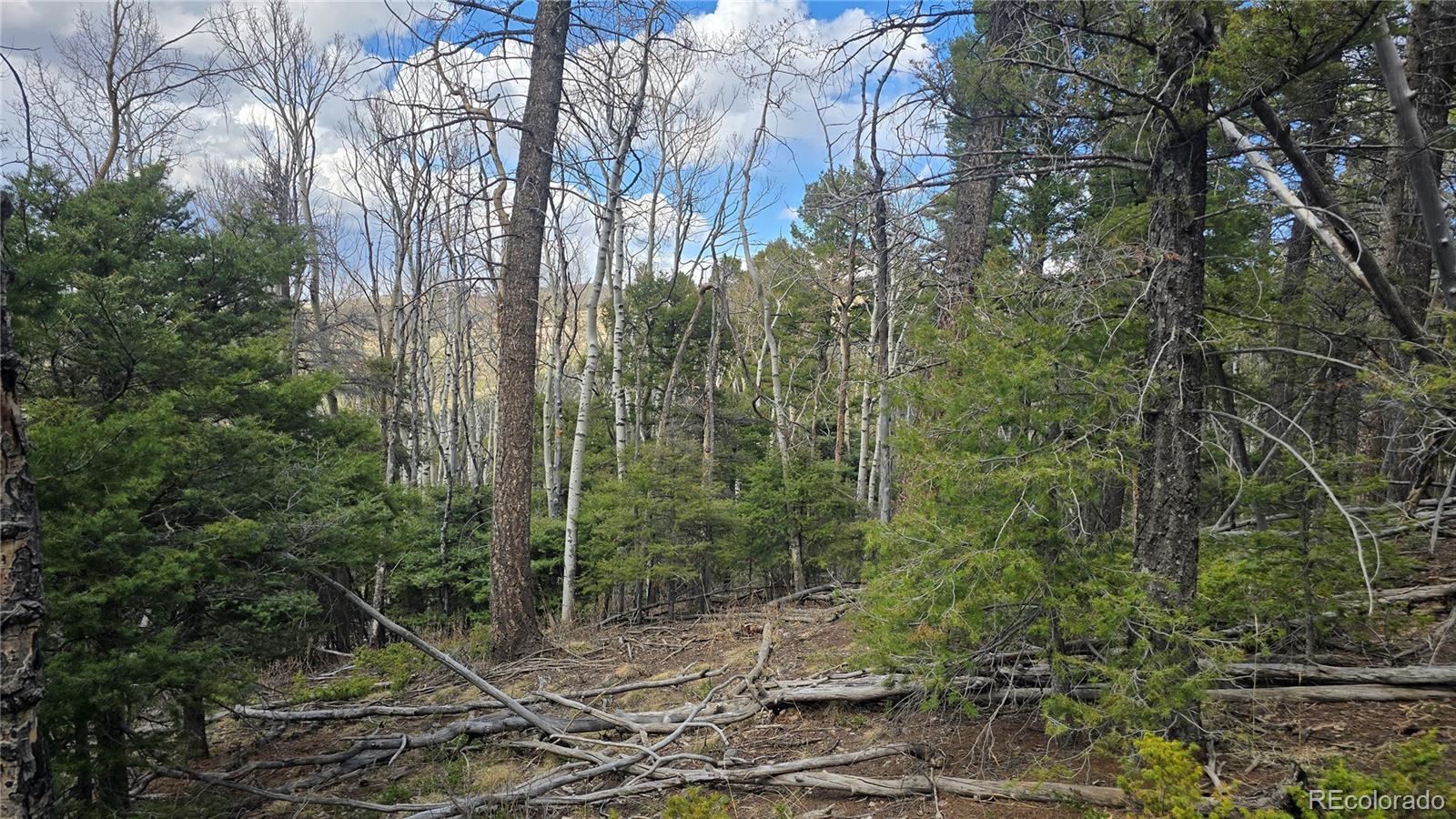 Lot 5261 Scott Road Fort Garland CO 81133