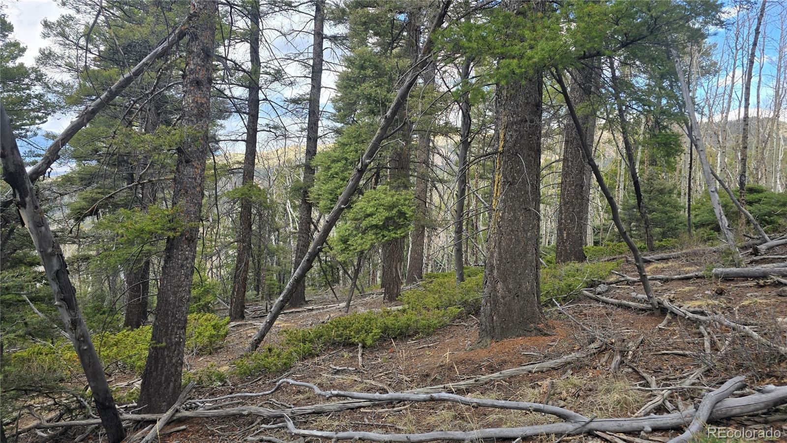 Lot 5261 Scott Road Fort Garland CO 81133