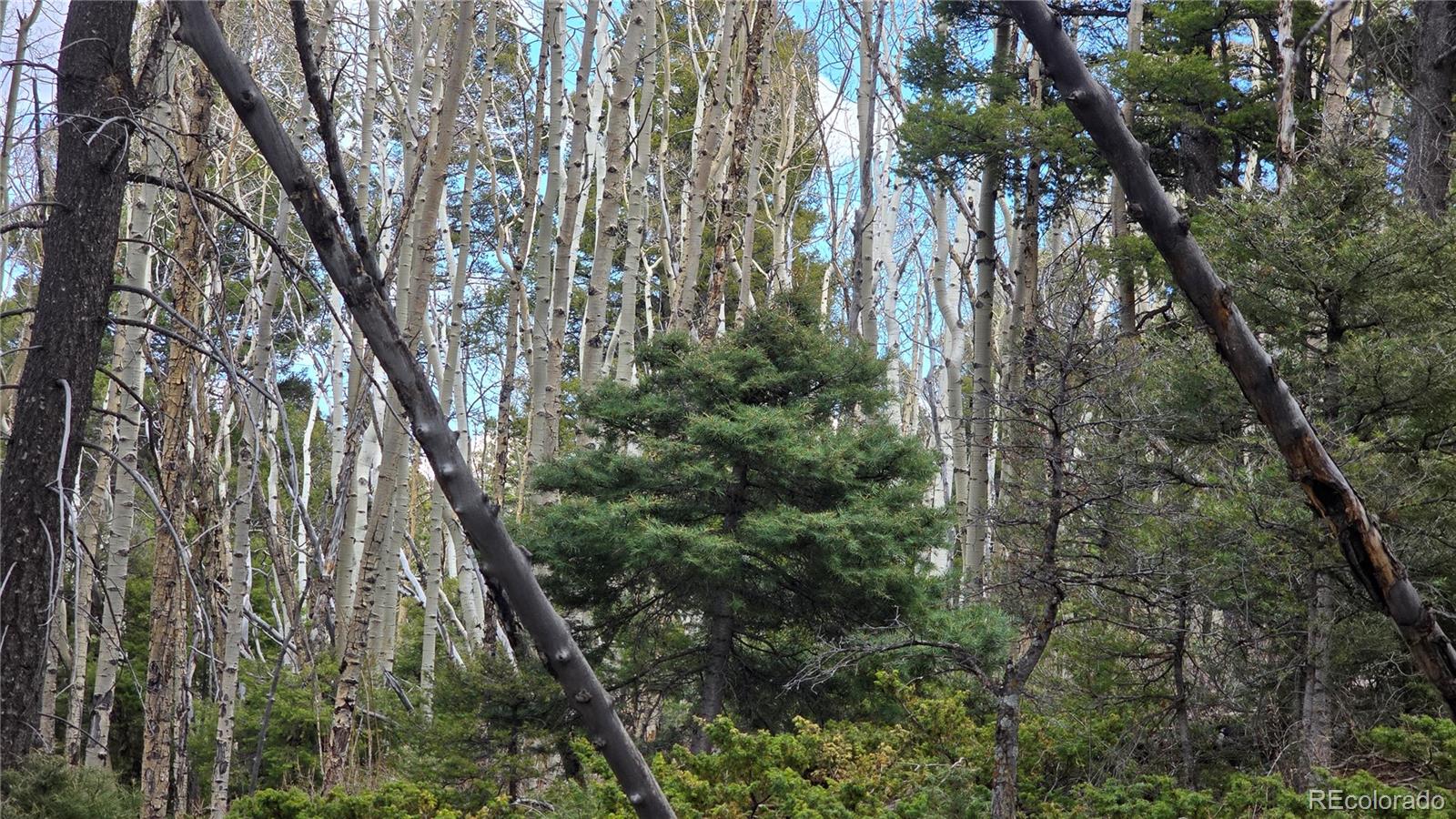 Lot 5261 Scott Road Fort Garland CO 81133