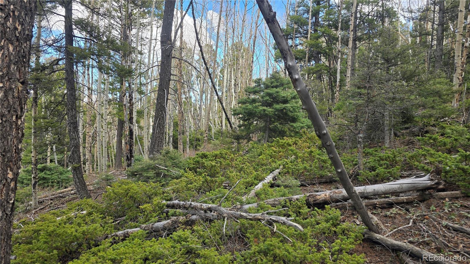 Lot 5261 Scott Road Fort Garland CO 81133
