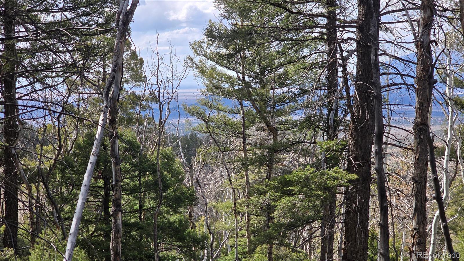 Lot 5261 Scott Road Fort Garland CO 81133