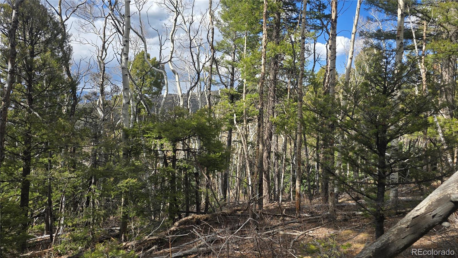 Lot 5261 Scott Road Fort Garland CO 81133