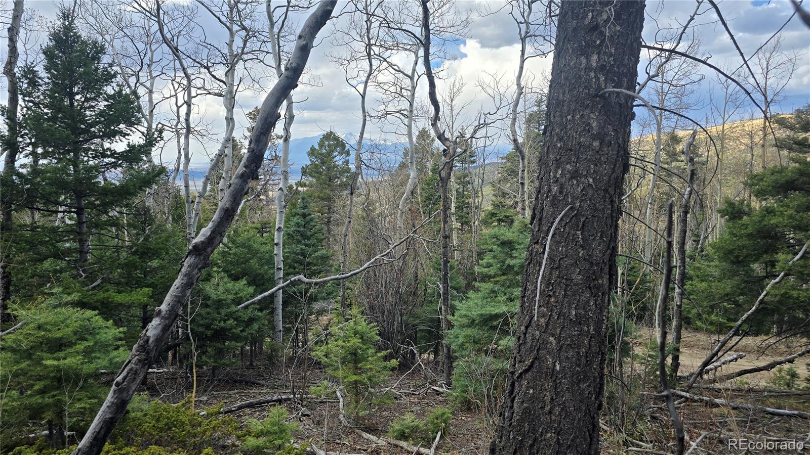 Lot 5261 Scott Road Fort Garland CO 81133