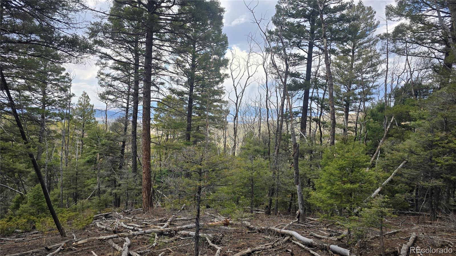 Lot 5261 Scott Road Fort Garland CO 81133