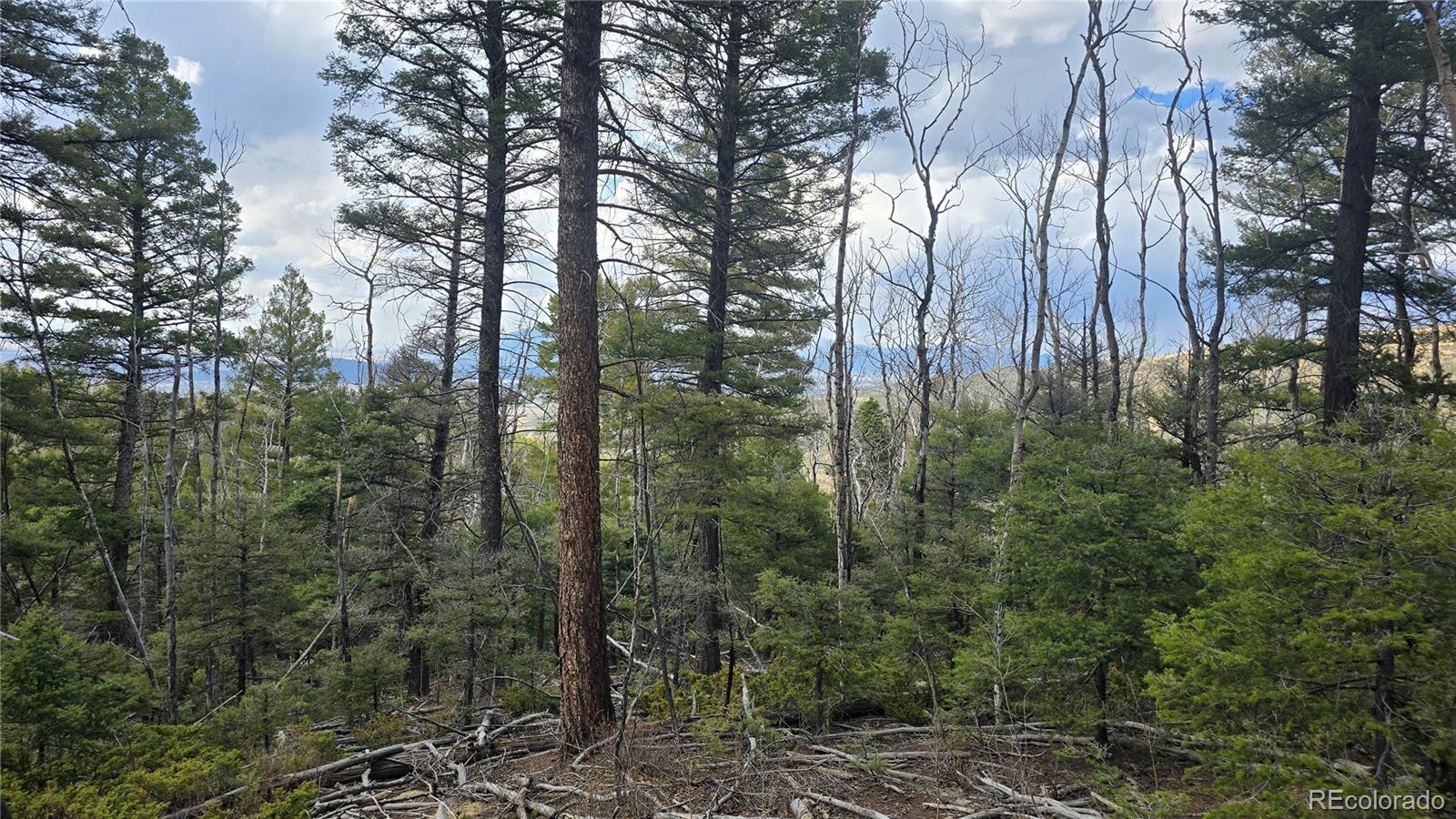 Lot 5261 Scott Road Fort Garland CO 81133