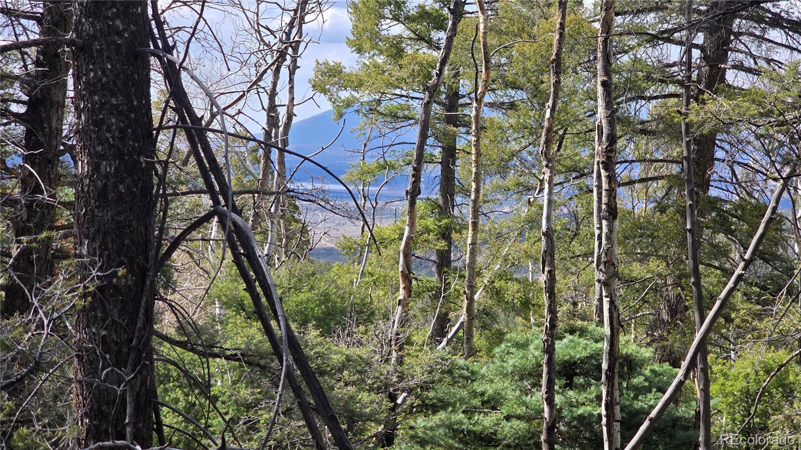 Lot 5261 Scott Road Fort Garland CO 81133