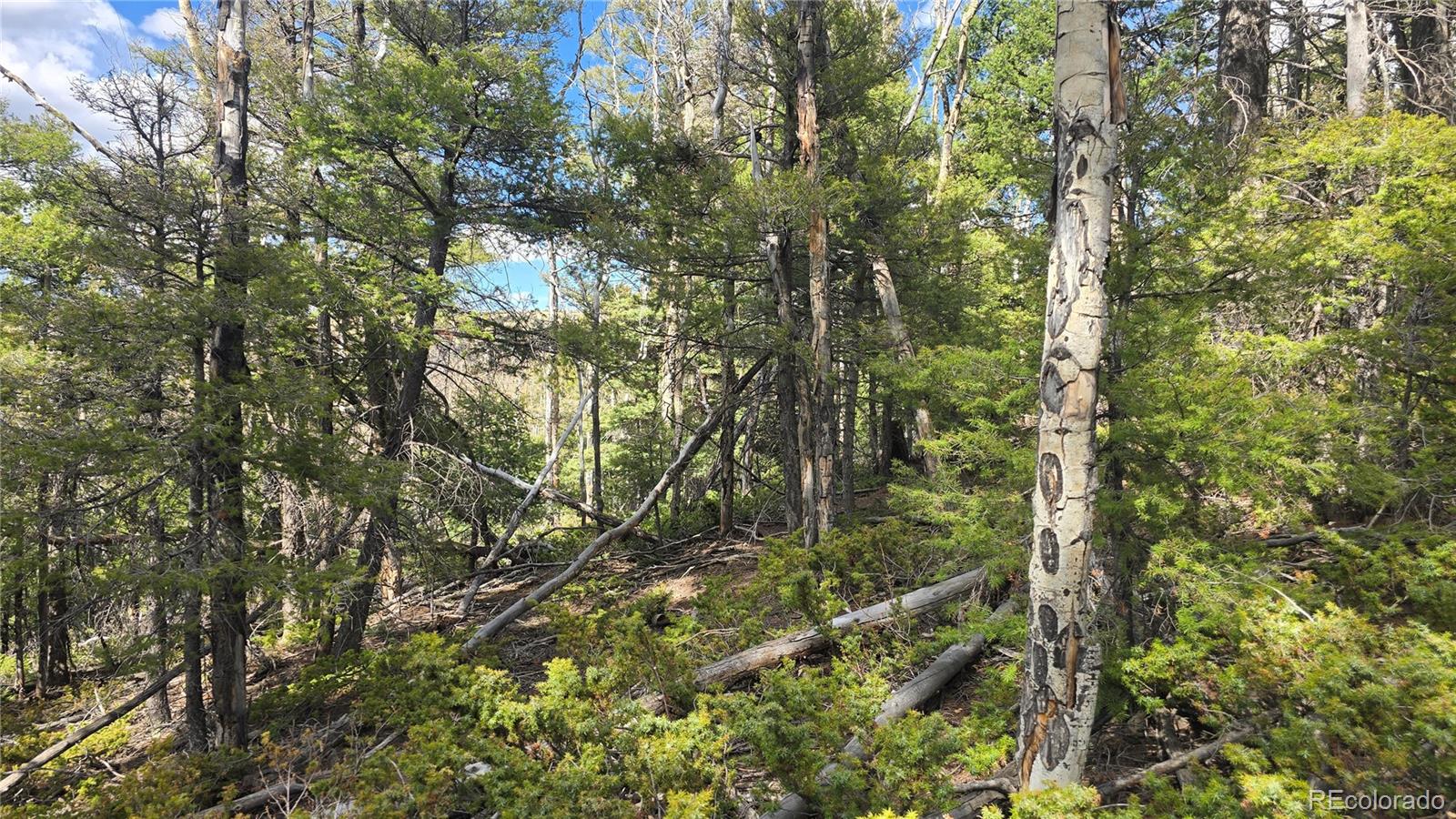 Lot 5261 Scott Road Fort Garland CO 81133