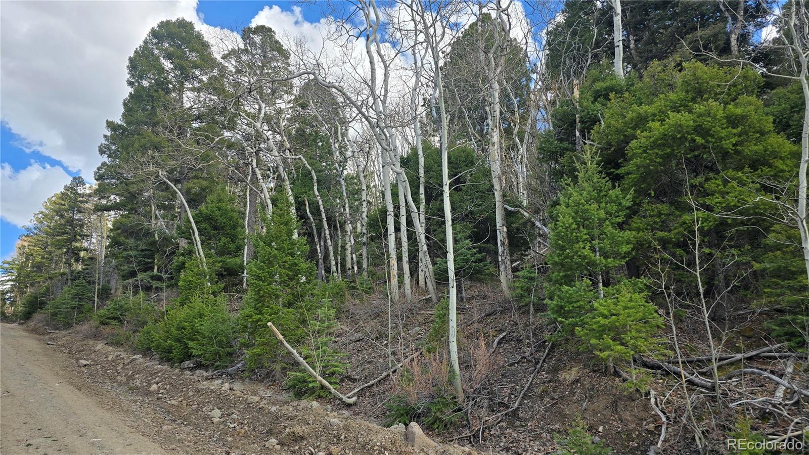 Lot 5261 Scott Road Fort Garland CO 81133