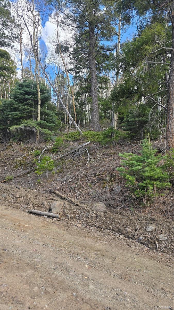 Lot 5261 Scott Road Fort Garland CO 81133
