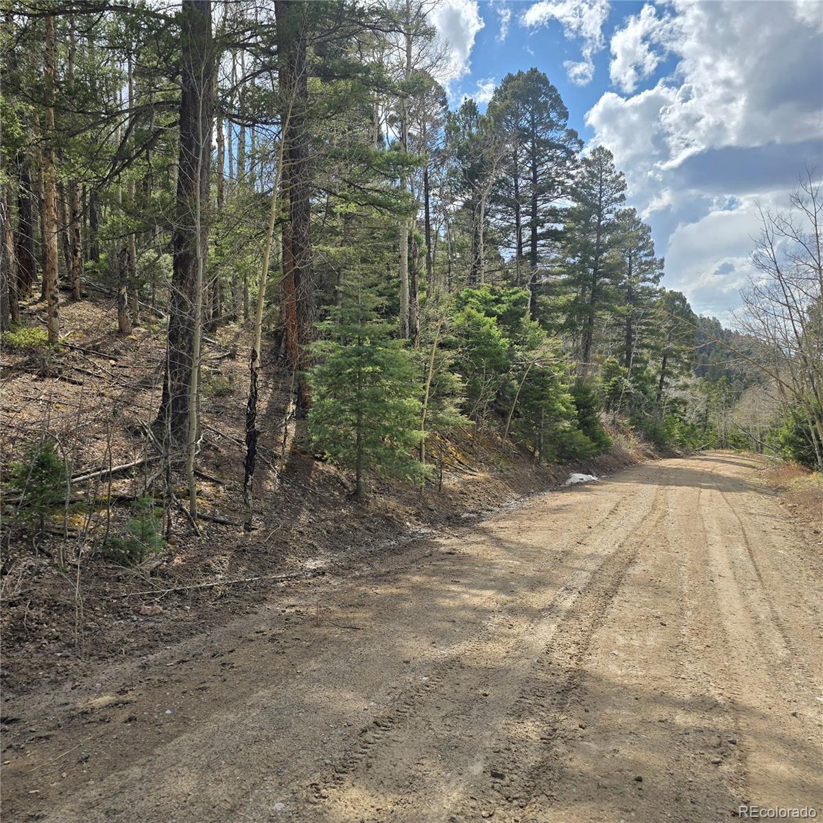 Lot 5261 Scott Road Fort Garland CO 81133