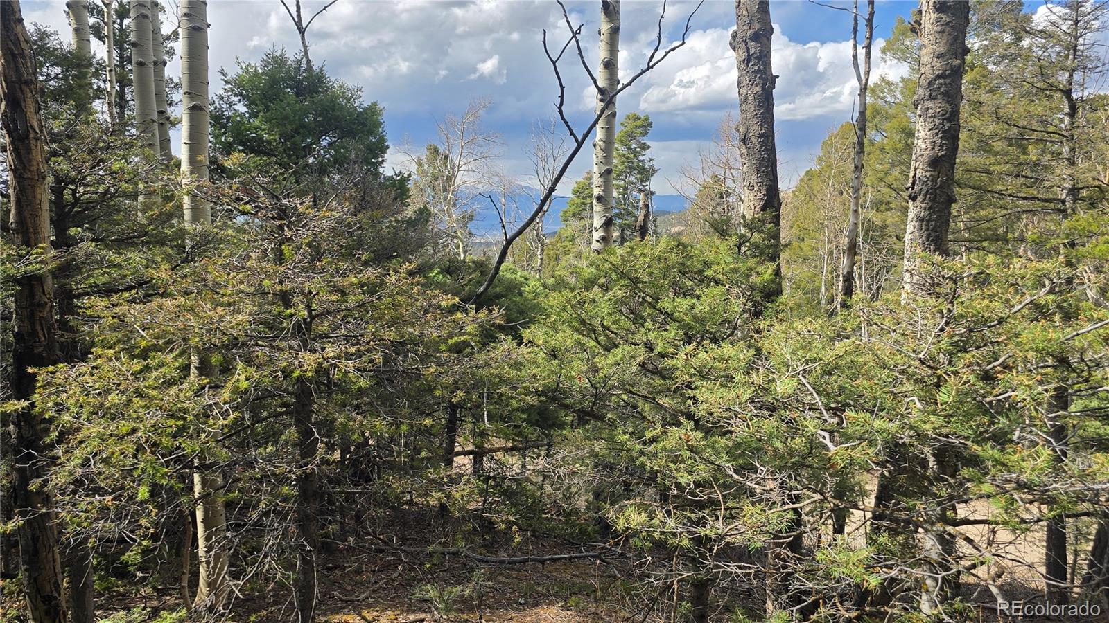 Lot 5261 Scott Road Fort Garland CO 81133