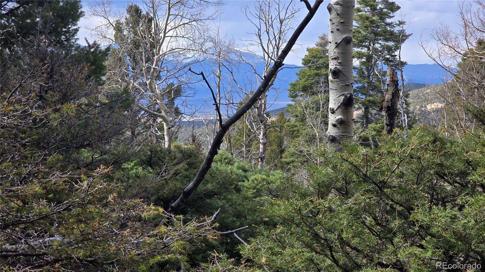 Lot 5261 Scott Road Fort Garland CO 81133