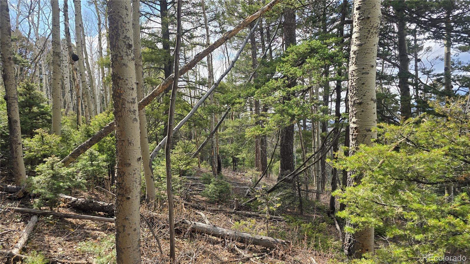 Lot 5261 Scott Road Fort Garland CO 81133