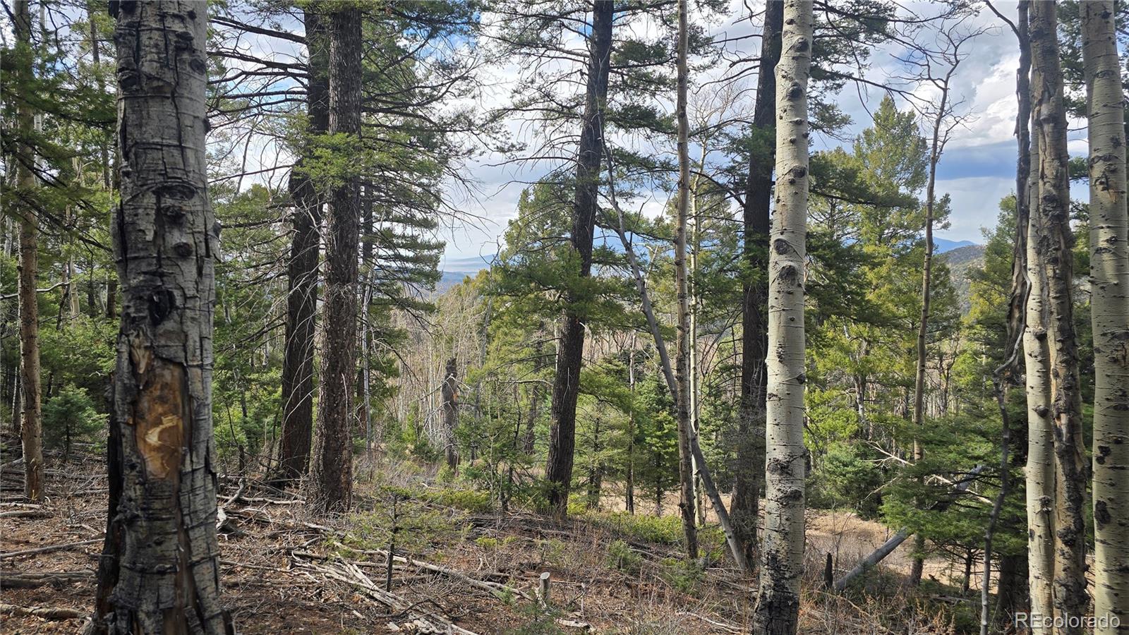 Lot 5261 Scott Road Fort Garland CO 81133