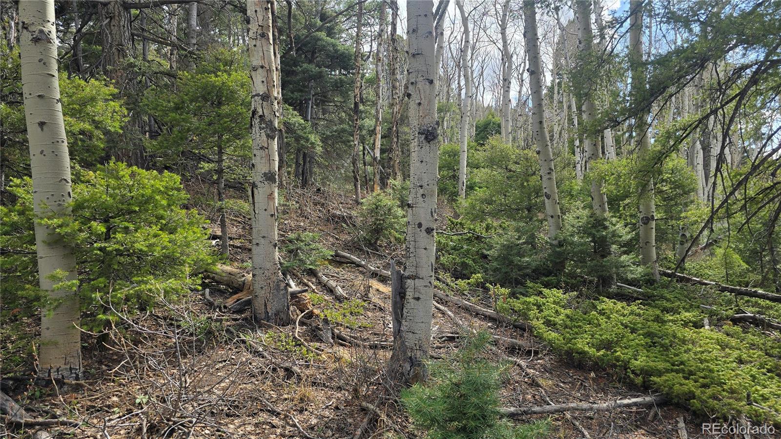 Lot 5261 Scott Road Fort Garland CO 81133