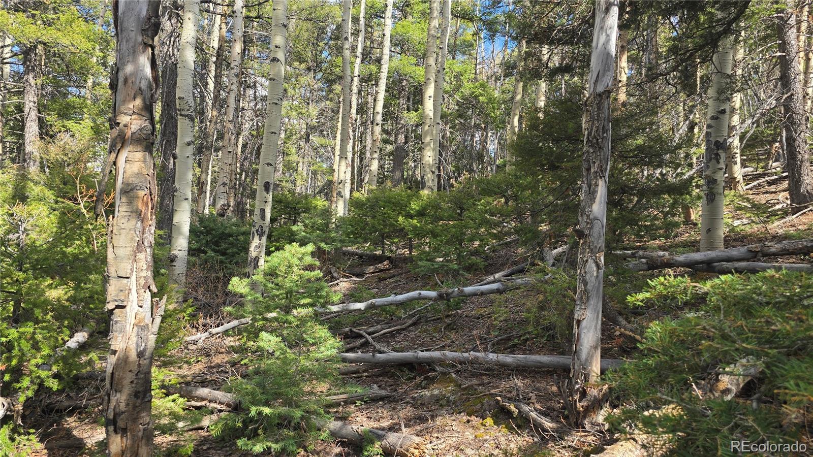 Lot 5261 Scott Road Fort Garland CO 81133